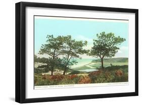 Torrey Pines, San Diego County, California-null-Framed Art Print