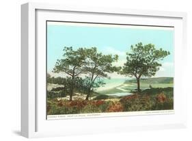 Torrey Pines, San Diego County, California-null-Framed Art Print