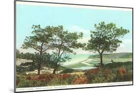Torrey Pines, San Diego County, California-null-Mounted Art Print