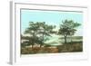 Torrey Pines, San Diego County, California-null-Framed Art Print