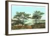 Torrey Pines, San Diego County, California-null-Framed Art Print