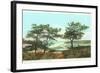 Torrey Pines, San Diego County, California-null-Framed Art Print