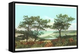 Torrey Pines, San Diego County, California-null-Framed Stretched Canvas