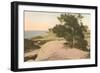 Torrey Pines-null-Framed Art Print