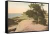 Torrey Pines-null-Framed Stretched Canvas