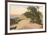 Torrey Pines-null-Framed Art Print