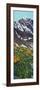 Torrey's Peak in Spring-James W. Johnson-Framed Giclee Print