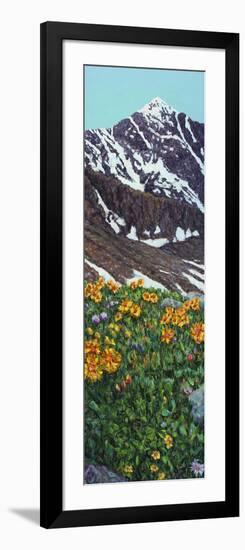 Torrey's Peak in Spring-James W. Johnson-Framed Giclee Print