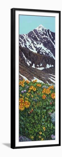 Torrey's Peak in Spring-James W. Johnson-Framed Giclee Print