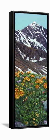 Torrey's Peak in Spring-James W. Johnson-Framed Stretched Canvas