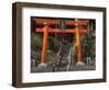 Torri Gates leading up hill, Akado Hall, Chuson-ji, Hiraizumi, Iwate Prefecture, Japan-Panoramic Images-Framed Photographic Print