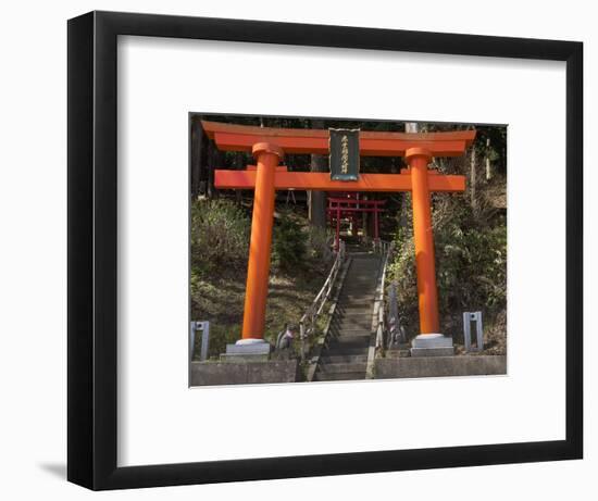 Torri Gates leading up hill, Akado Hall, Chuson-ji, Hiraizumi, Iwate Prefecture, Japan-Panoramic Images-Framed Photographic Print