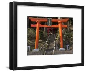 Torri Gates leading up hill, Akado Hall, Chuson-ji, Hiraizumi, Iwate Prefecture, Japan-Panoramic Images-Framed Photographic Print