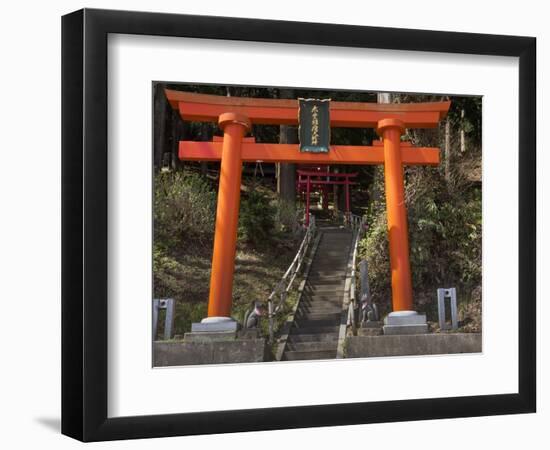 Torri Gates leading up hill, Akado Hall, Chuson-ji, Hiraizumi, Iwate Prefecture, Japan-Panoramic Images-Framed Photographic Print