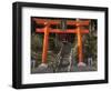 Torri Gates leading up hill, Akado Hall, Chuson-ji, Hiraizumi, Iwate Prefecture, Japan-Panoramic Images-Framed Photographic Print