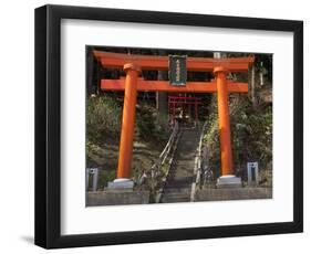 Torri Gates leading up hill, Akado Hall, Chuson-ji, Hiraizumi, Iwate Prefecture, Japan-Panoramic Images-Framed Photographic Print