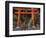 Torri Gates leading up hill, Akado Hall, Chuson-ji, Hiraizumi, Iwate Prefecture, Japan-Panoramic Images-Framed Photographic Print