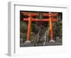 Torri Gates leading up hill, Akado Hall, Chuson-ji, Hiraizumi, Iwate Prefecture, Japan-Panoramic Images-Framed Photographic Print