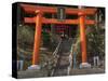 Torri Gates leading up hill, Akado Hall, Chuson-ji, Hiraizumi, Iwate Prefecture, Japan-Panoramic Images-Stretched Canvas