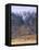 Torridon,Glen Torridon, Wester Ross, Highlands, Scotland-Neale Clarke-Framed Stretched Canvas