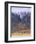 Torridon,Glen Torridon, Wester Ross, Highlands, Scotland-Neale Clarke-Framed Photographic Print