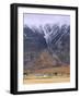 Torridon,Glen Torridon, Wester Ross, Highlands, Scotland-Neale Clarke-Framed Photographic Print