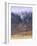 Torridon,Glen Torridon, Wester Ross, Highlands, Scotland-Neale Clarke-Framed Photographic Print