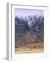 Torridon,Glen Torridon, Wester Ross, Highlands, Scotland-Neale Clarke-Framed Photographic Print