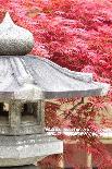 Japanese Garden-Torsakarin-Framed Photographic Print