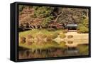 Framed Canvas