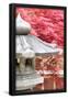 Essential Black