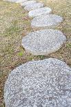 Zen Stone Path in a Japanese Garden-Torsakarin-Framed Photographic Print