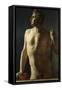 Torse ou demi-figure peinte-Jean-Auguste-Dominique Ingres-Framed Stretched Canvas