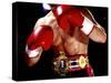 Torso of a Male Boxer Wearing Boxing Gloves and a Belt-null-Stretched Canvas