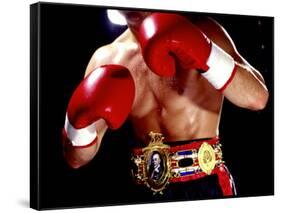 Torso of a Male Boxer Wearing Boxing Gloves and a Belt-null-Framed Stretched Canvas