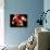 Torso of a Male Boxer Wearing Boxing Gloves and a Belt-null-Photographic Print displayed on a wall