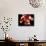 Torso of a Male Boxer Wearing Boxing Gloves and a Belt-null-Photographic Print displayed on a wall