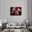 Torso of a Male Boxer Wearing Boxing Gloves and a Belt-null-Photographic Print displayed on a wall