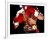 Torso of a Male Boxer Wearing Boxing Gloves and a Belt-null-Framed Photographic Print