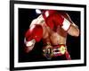 Torso of a Male Boxer Wearing Boxing Gloves and a Belt-null-Framed Photographic Print