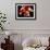 Torso of a Male Boxer Wearing Boxing Gloves and a Belt-null-Framed Photographic Print displayed on a wall