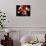 Torso of a Male Boxer Wearing Boxing Gloves and a Belt-null-Mounted Photographic Print displayed on a wall