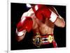 Torso of a Male Boxer Wearing Boxing Gloves and a Belt-null-Framed Photographic Print