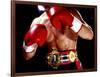 Torso of a Male Boxer Wearing Boxing Gloves and a Belt-null-Framed Photographic Print