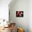 Torso of a Male Boxer Wearing Boxing Gloves and a Belt-null-Mounted Photographic Print displayed on a wall