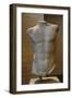 Torso of a Statue of Apollo. Roman Sculpture after Original of About 460 BC. Glyptothek. Munich-null-Framed Giclee Print