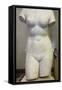 Torso of Aphrodite, 2nd Century-null-Framed Stretched Canvas