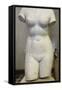 Torso of Aphrodite, 2nd Century-null-Framed Stretched Canvas