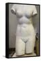 Torso of Aphrodite, 2nd Century-null-Framed Stretched Canvas