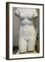 Torso of Aphrodite, 2nd Century-null-Framed Photographic Print